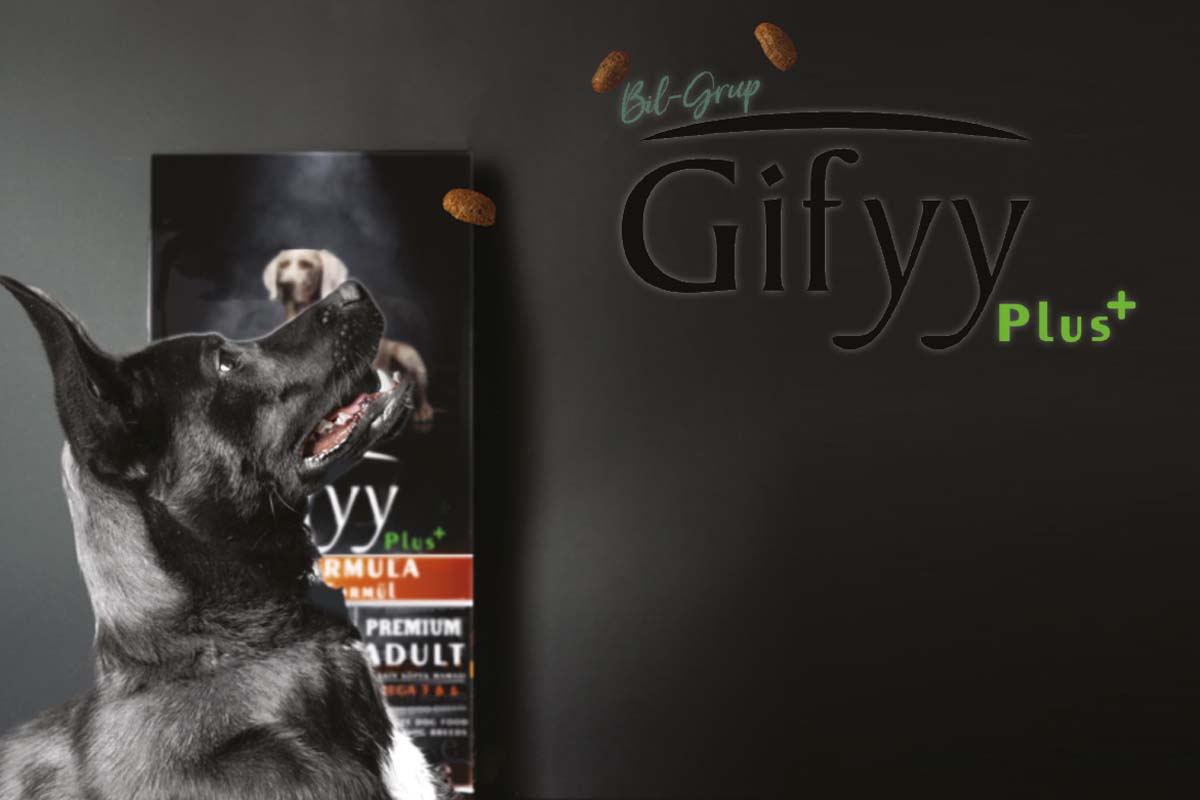 giffy